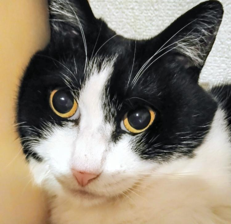 �\�ܖ�Ŏn�߂�