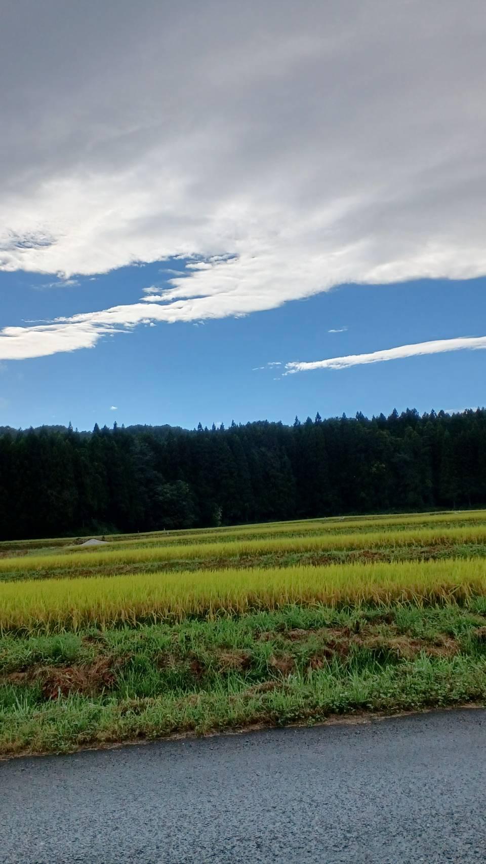 �����w�͂����点����@