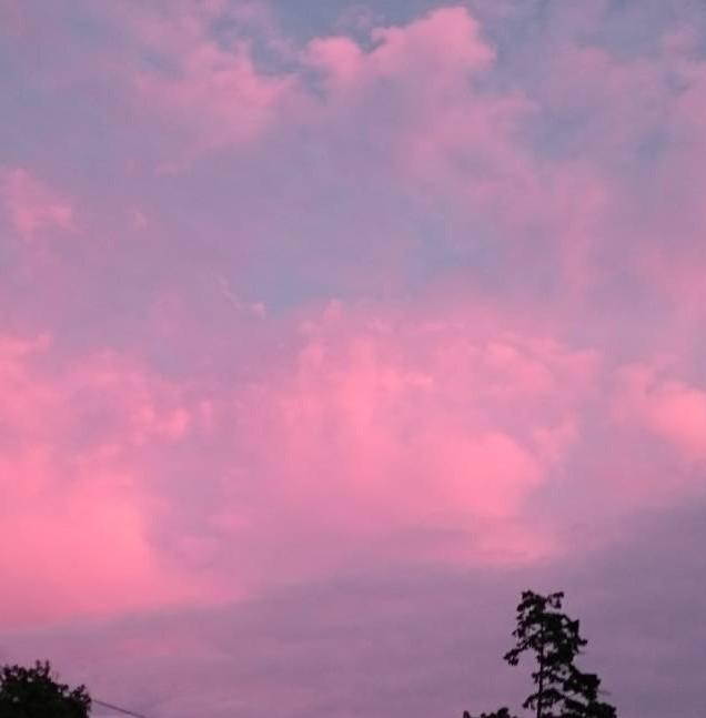 �D�����q����