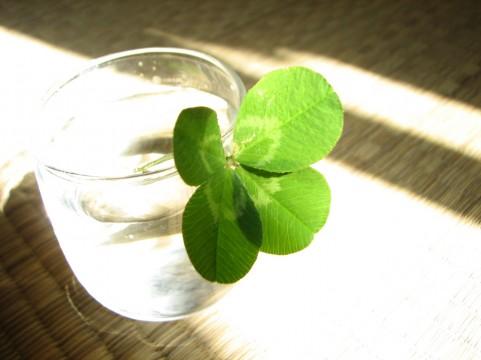 �q�ǂ������̒a�����𖳎��ނ������܂���