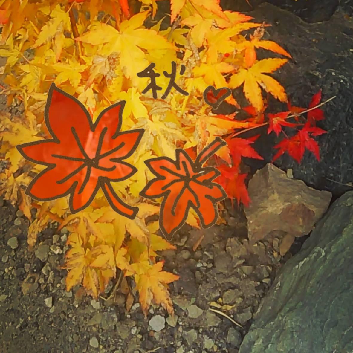 �����Ŋ�����G�ߊ�(^^)