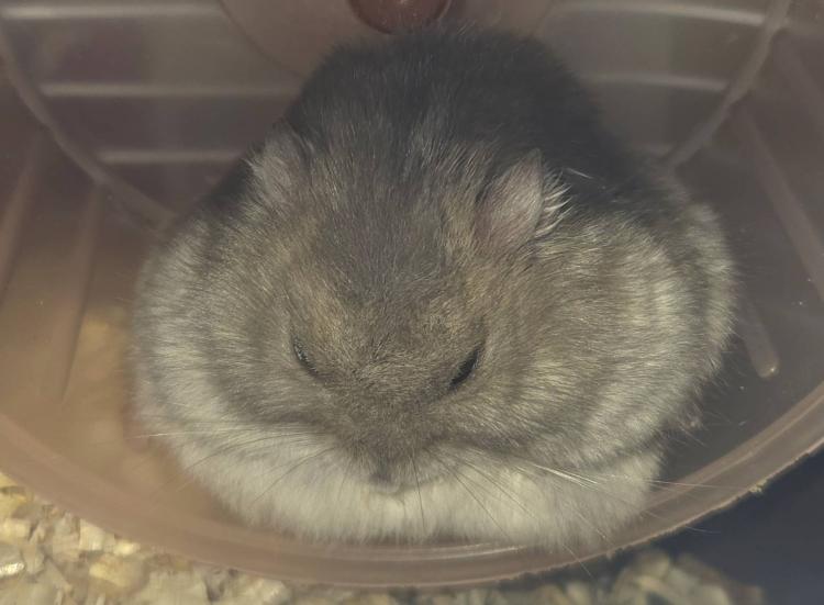 �X��25���@�����^