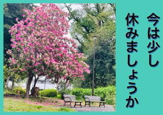 ���͏����x�ގ�����R4.4.14����