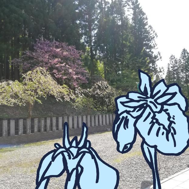 �Ҋ��̐ߋ�ɂ��Ȃ��