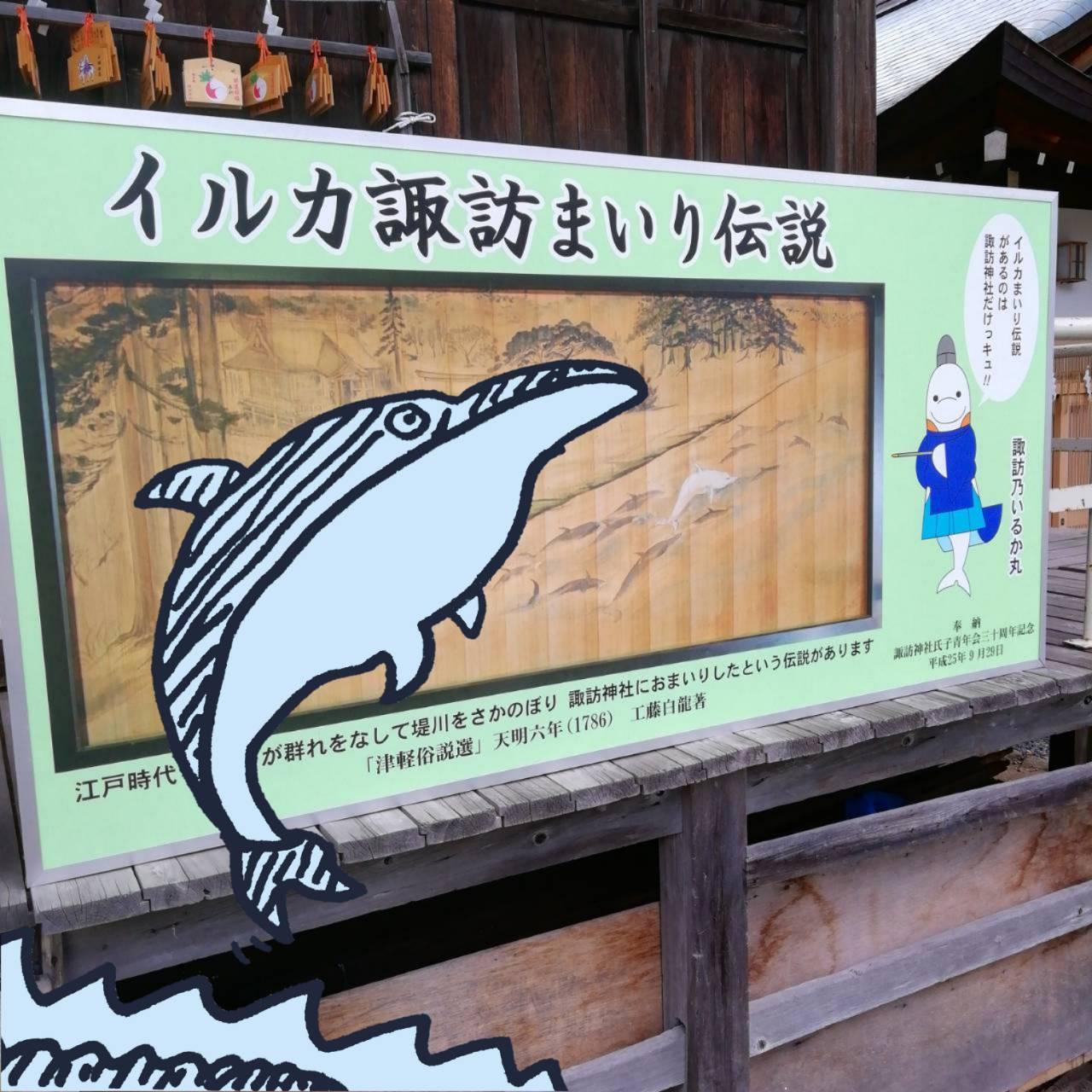 �C���J�A�Q�q�`���I�@�z�K�_��