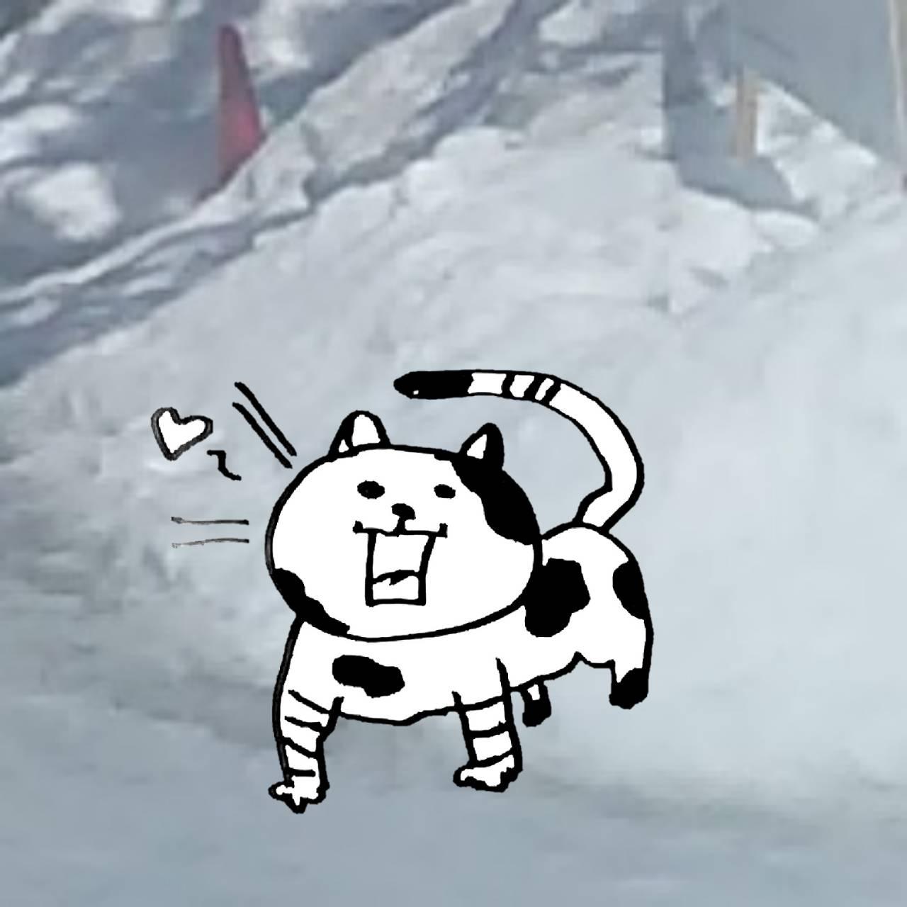 �L�̗�(=^��֥^=)