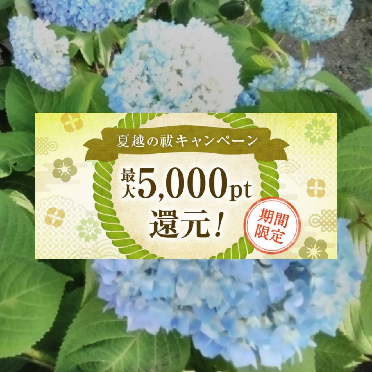 �y�ĉz���P�z��������̉��������K����