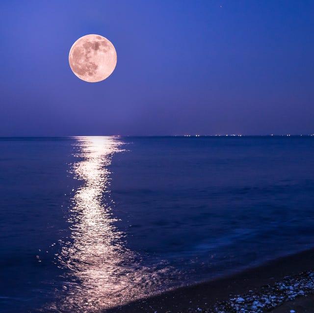 �{���̓X�g���x���[���[��