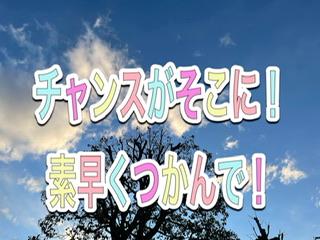 ����΂�́I���́i�������j�ł�