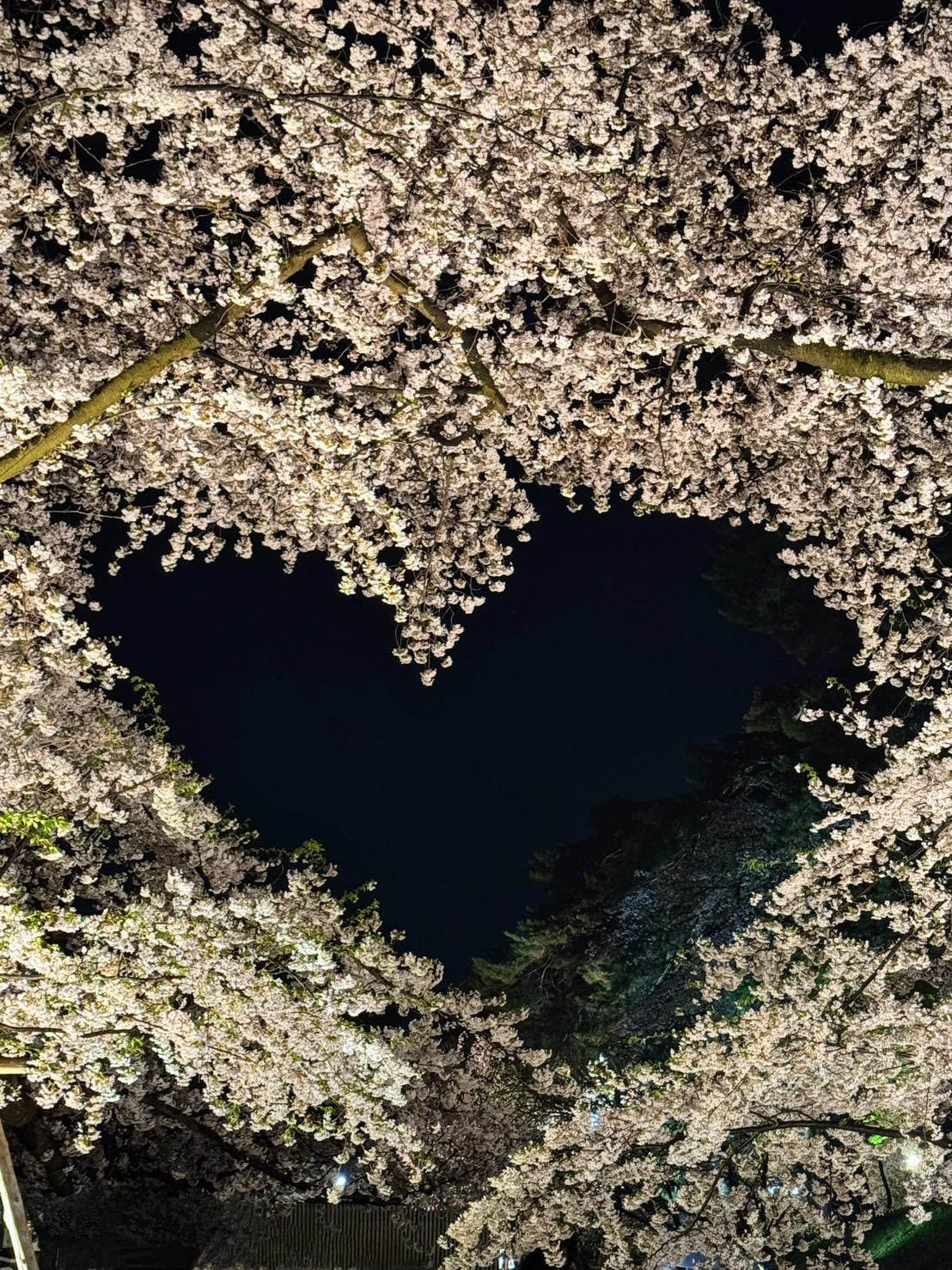 �y�����^�A�b�v�z�K���I���̃n�[�g�摜