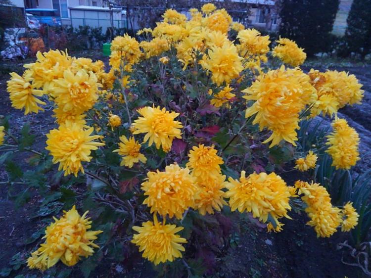 ������