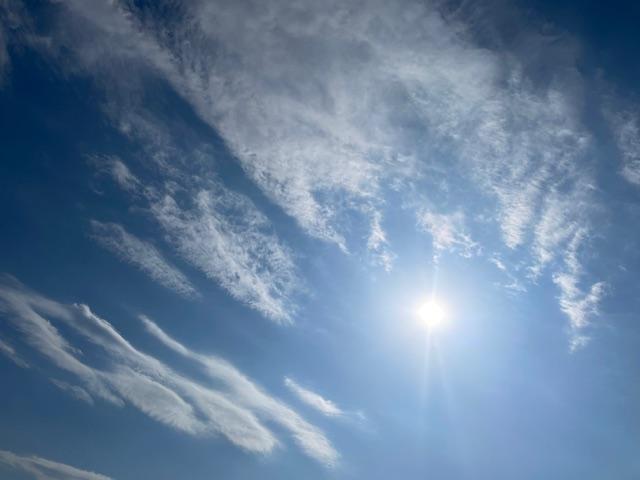 �U�Ƃ��������������Ă����g���̏z�g