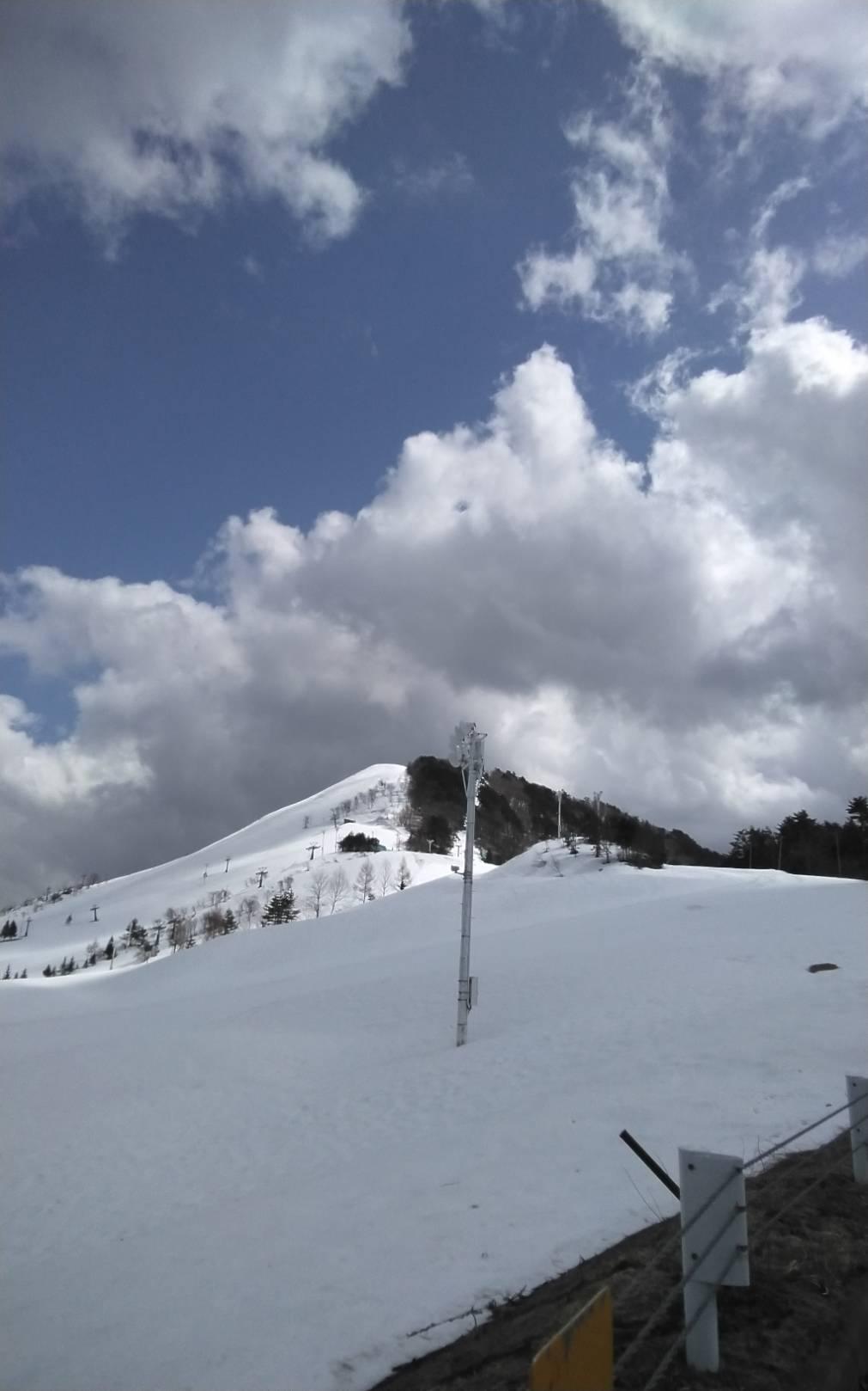 �_����ɓ͂��Ƃ����