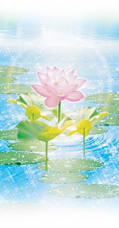 �_�l����̃��b�Z�[�W