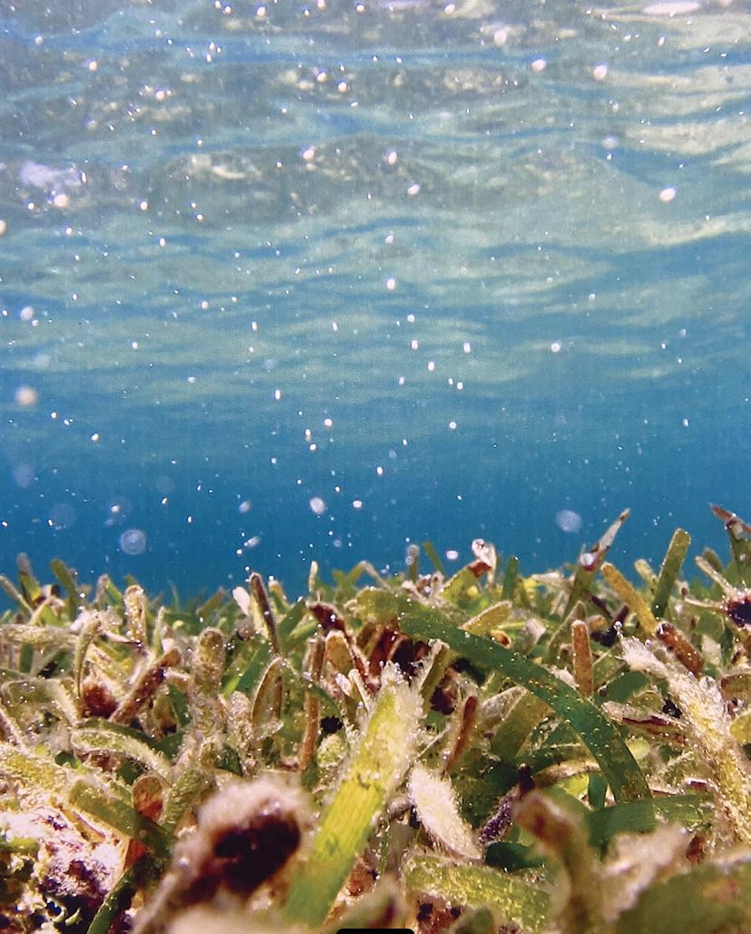 �̂񂫁E�䂤���E���񂫁A���@�͈��ŁB