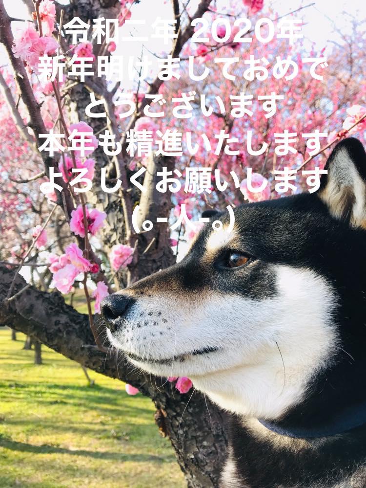 �V�N�����܂��Ă��߂łƂ��������܂�