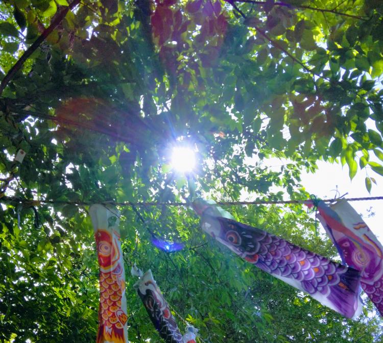 ���R��5��