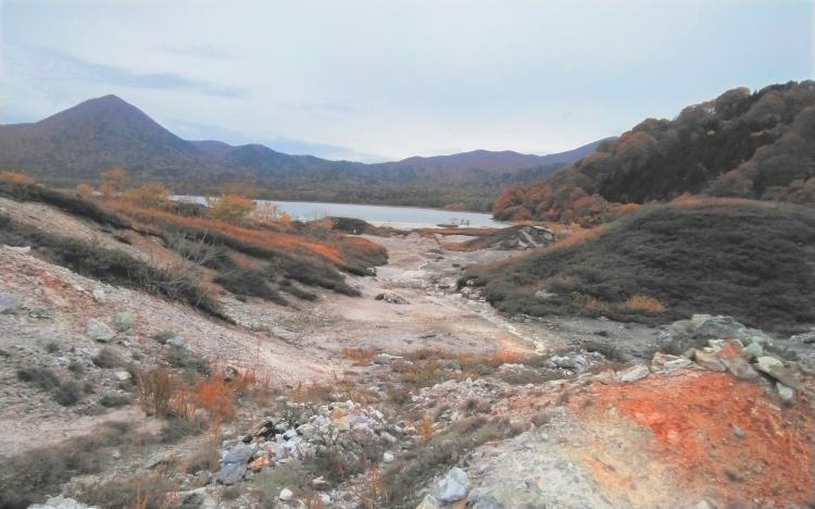 ���R�ɍs���Ă��܂���