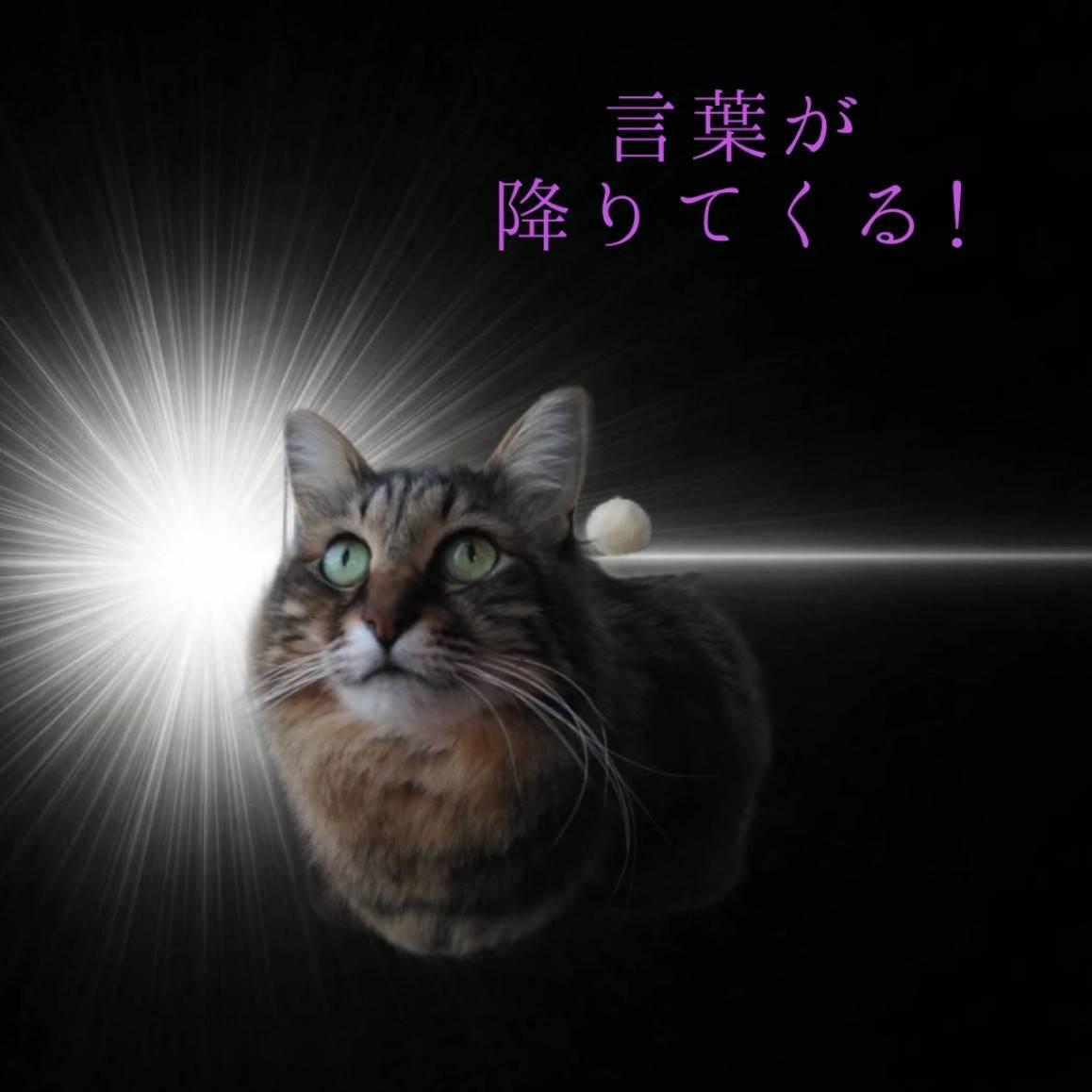 �y�쎋�z���Ɍ��t���~��ė���I