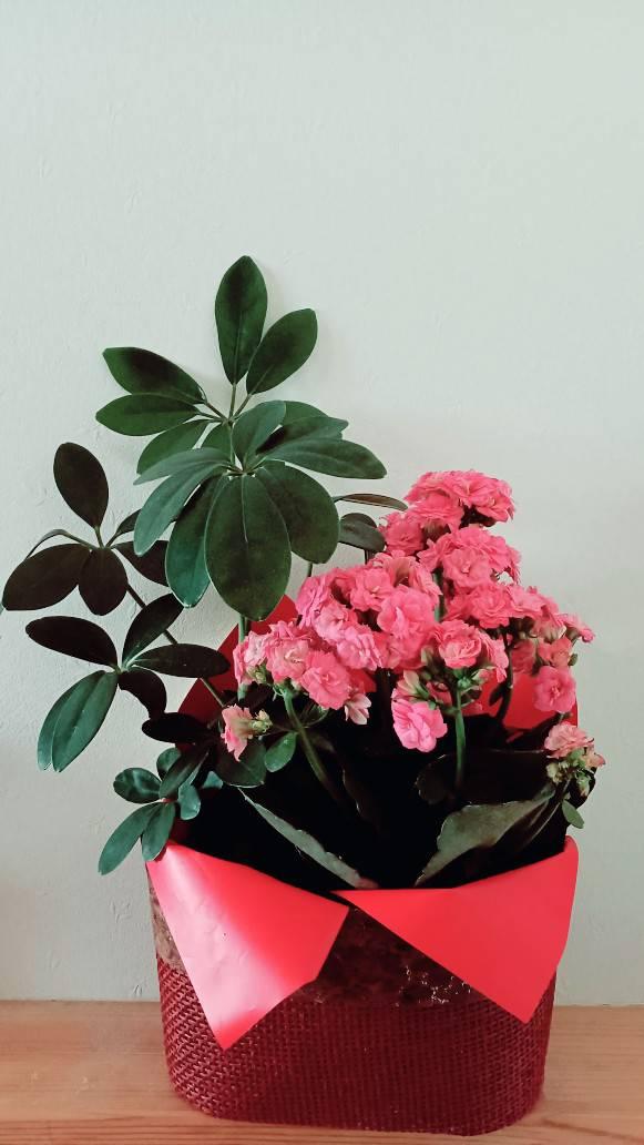 �v���[���g�̂��Ԃ͐F�őI�ڂ��I