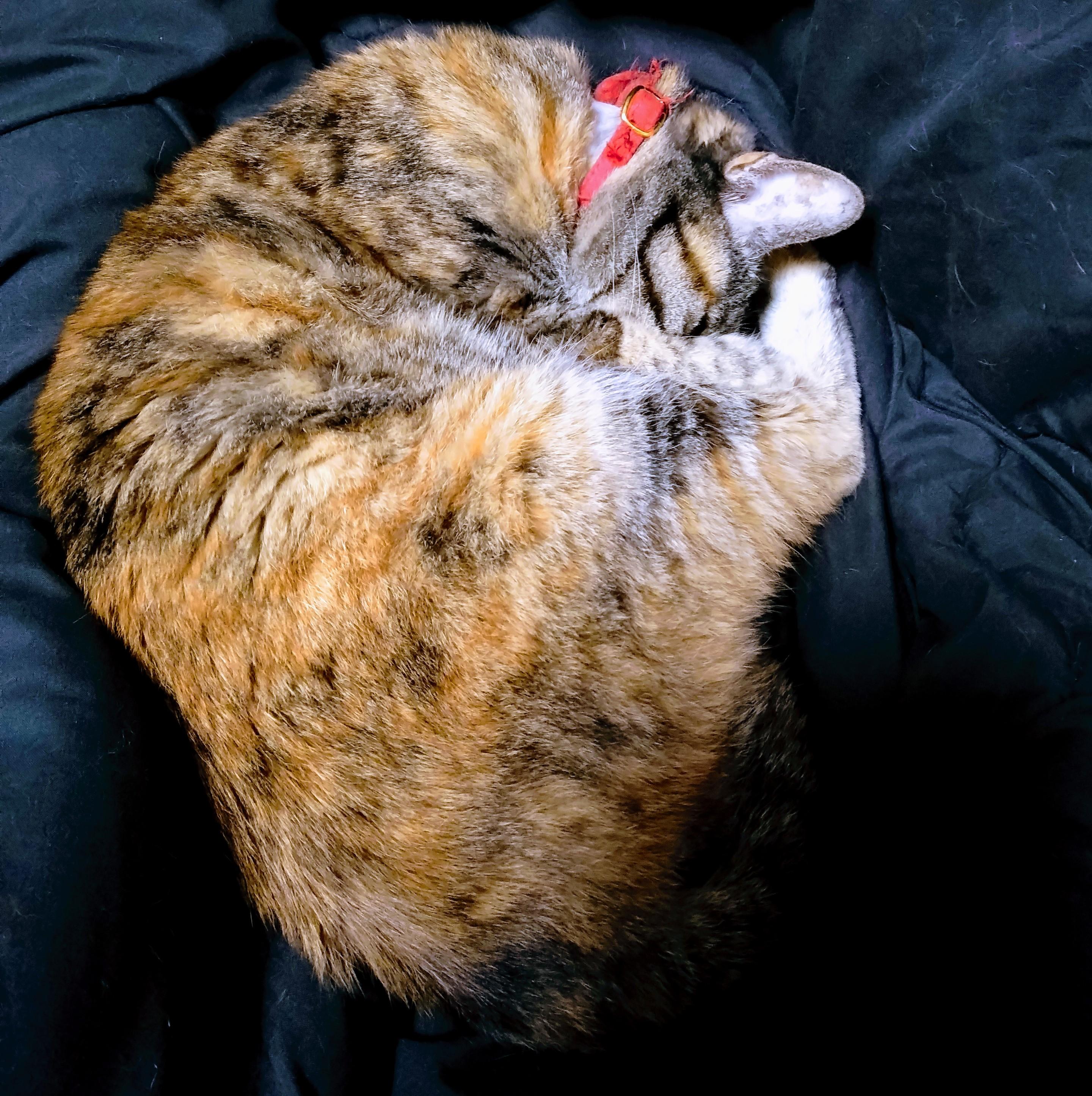 ������肭�����Ȃ��̂́H