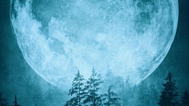 [�V��]�������A�n���^�[�Y���[������