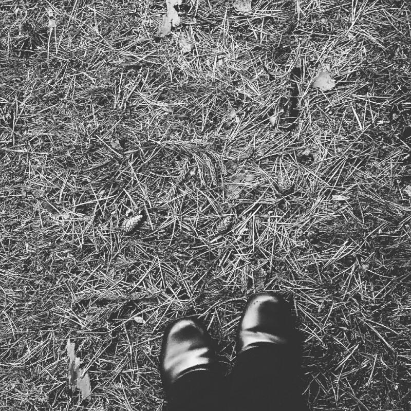 ���P�[�u���f��