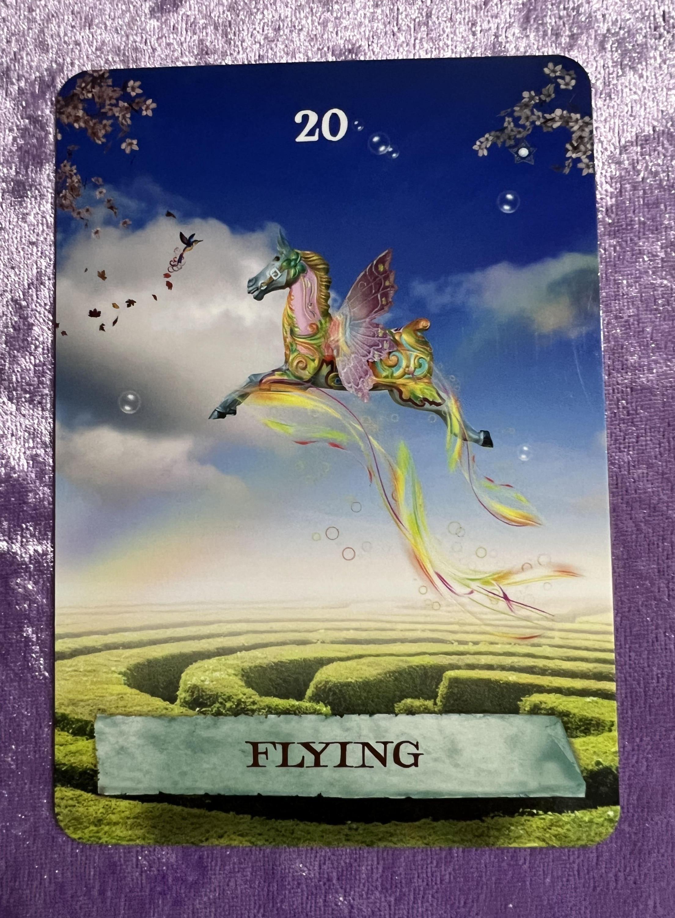 �V�g�͂��Ȃ��̖���