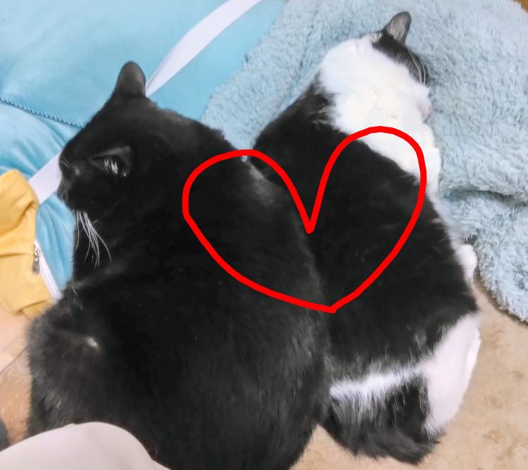 �n�k�̒n��̕�