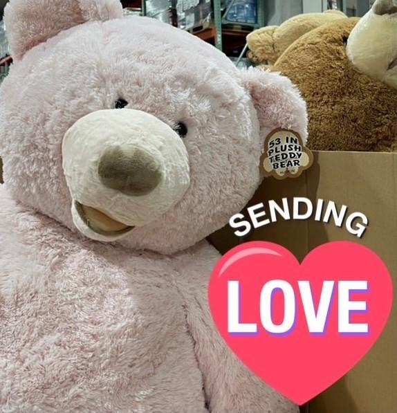 �y�ϓI�ɁI.2021.12.12.����