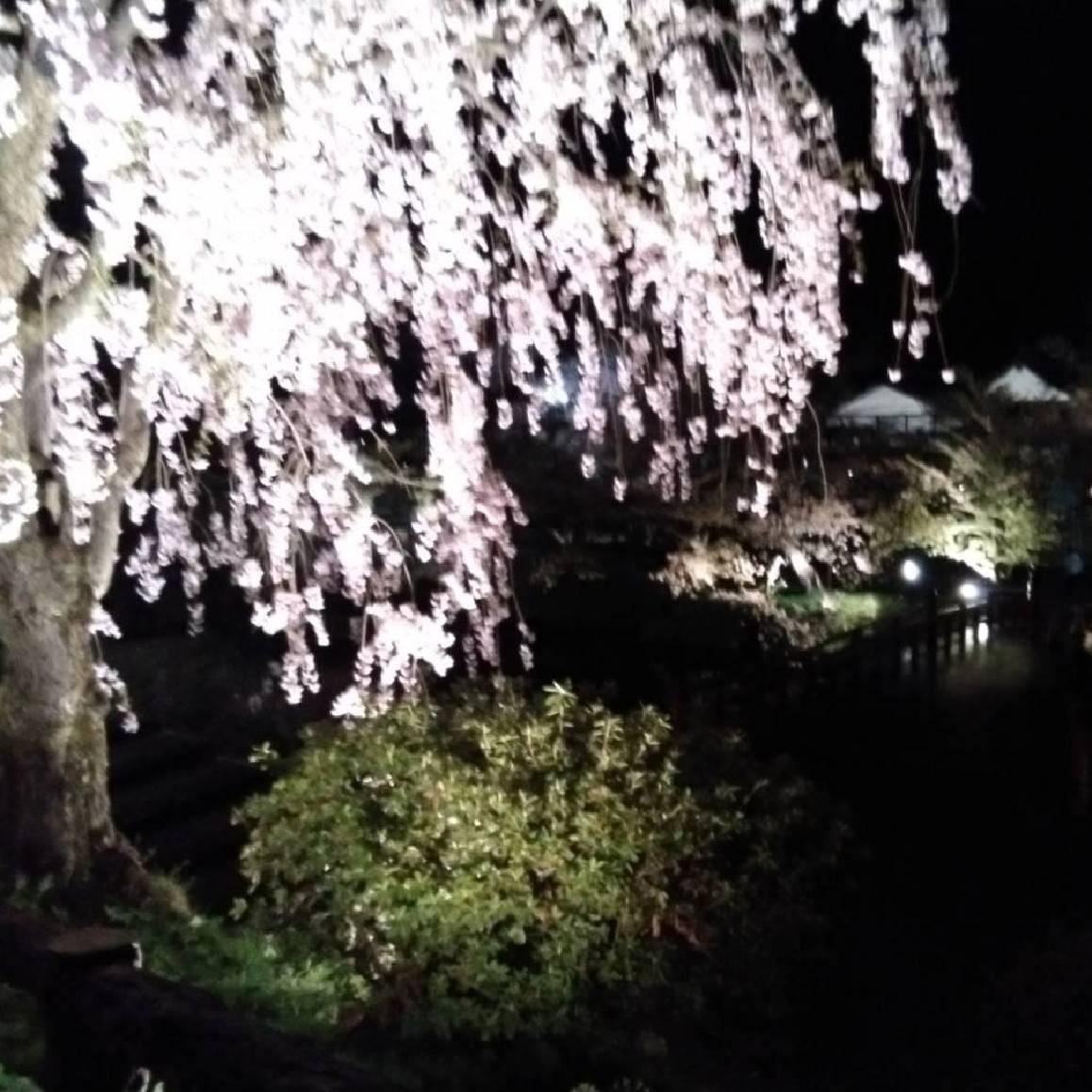 ����҂R�@���؈�ࣂȖ�����ς��I