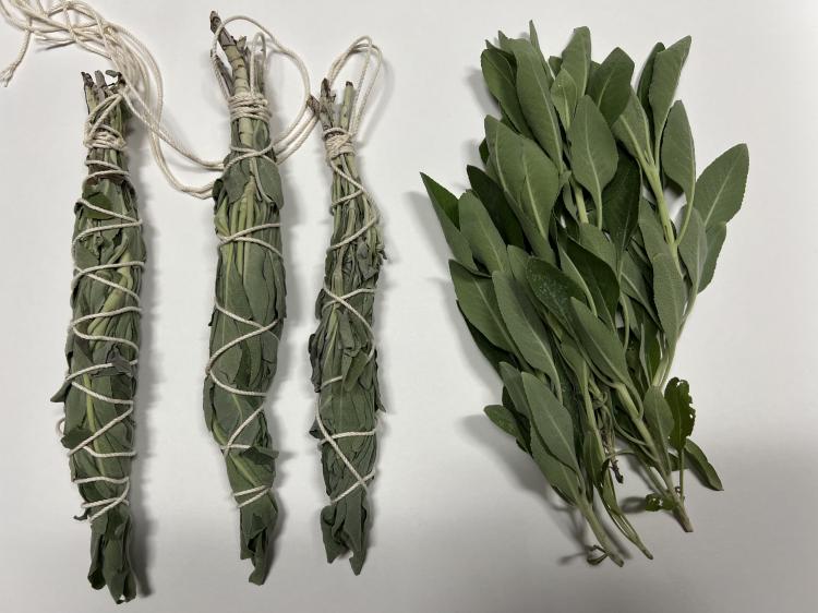 �͍�ł�(*�L�ށM)