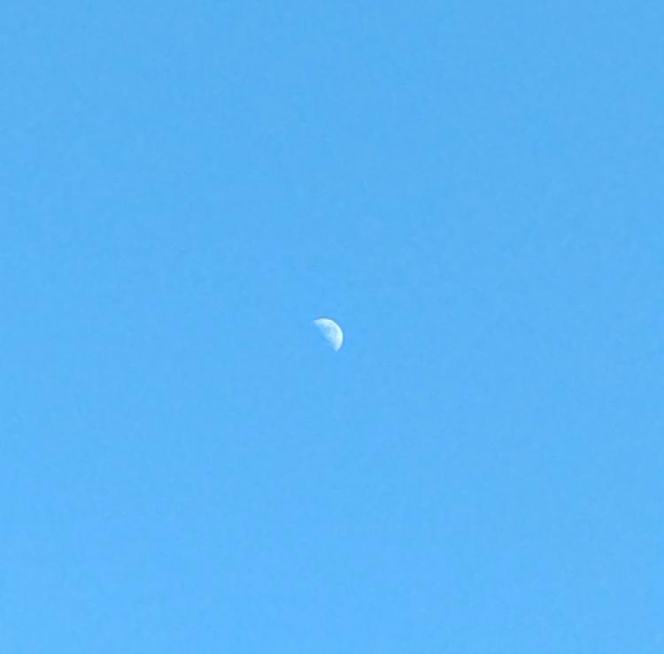 ���Ԃ̂������܂̃L���L��