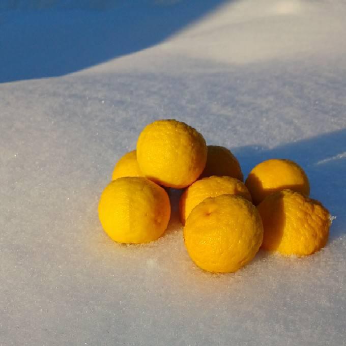 �y���؁z�~���ɗM�q���C�͌��ʂ��������I