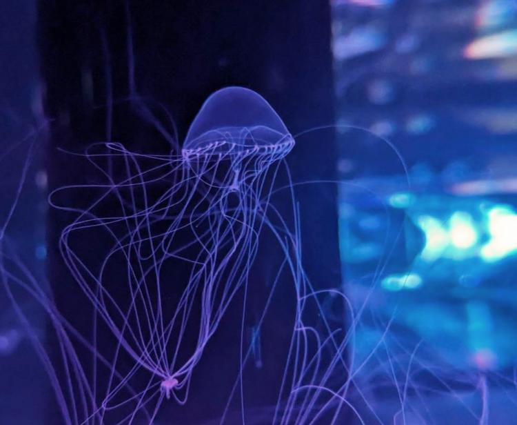 �����̂������܂ƌ�