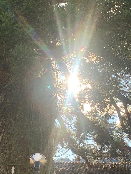 ���������^�C�~���O�I�����̃��b�Z�[�W��