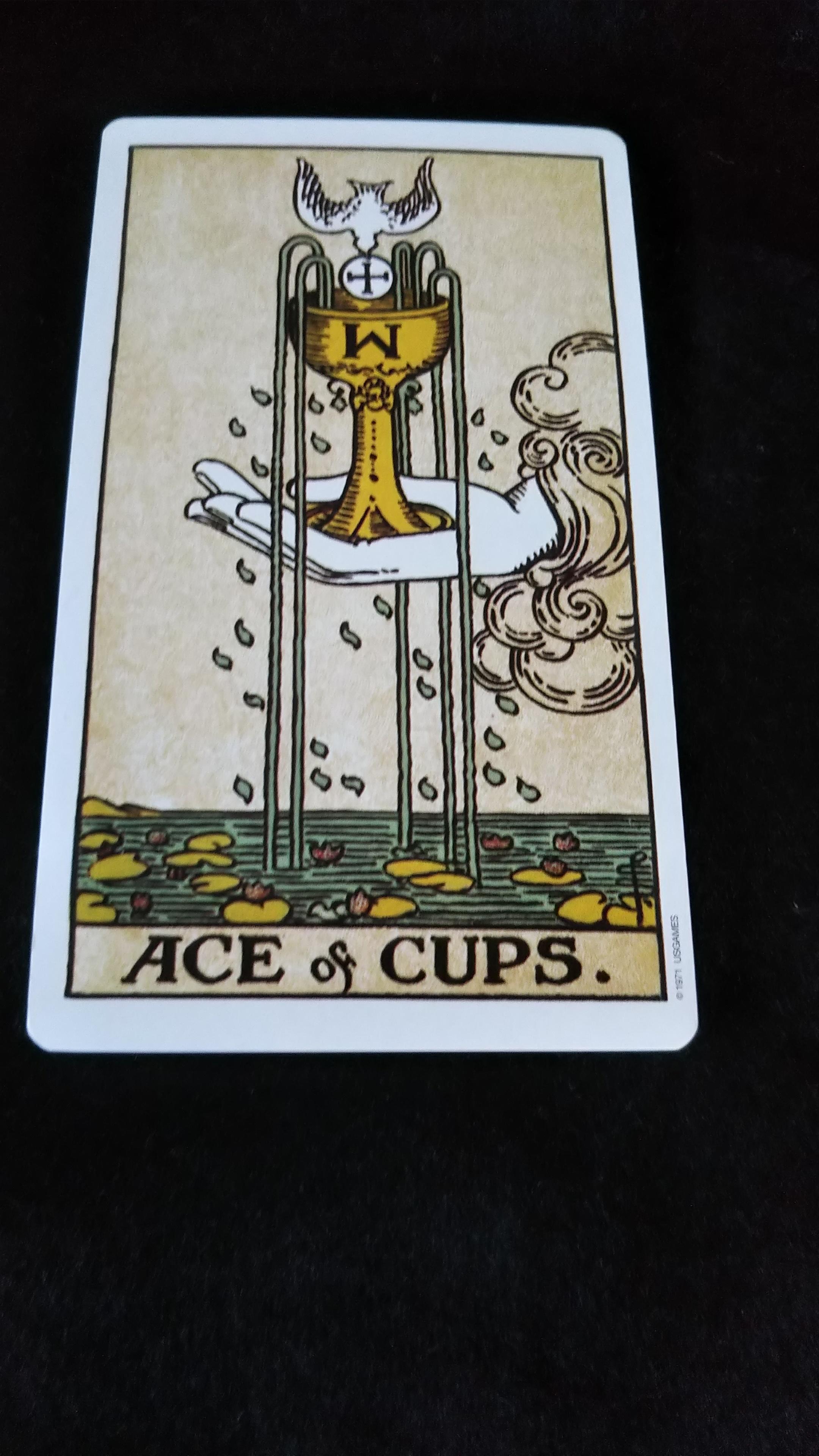 �����̃^���b�g