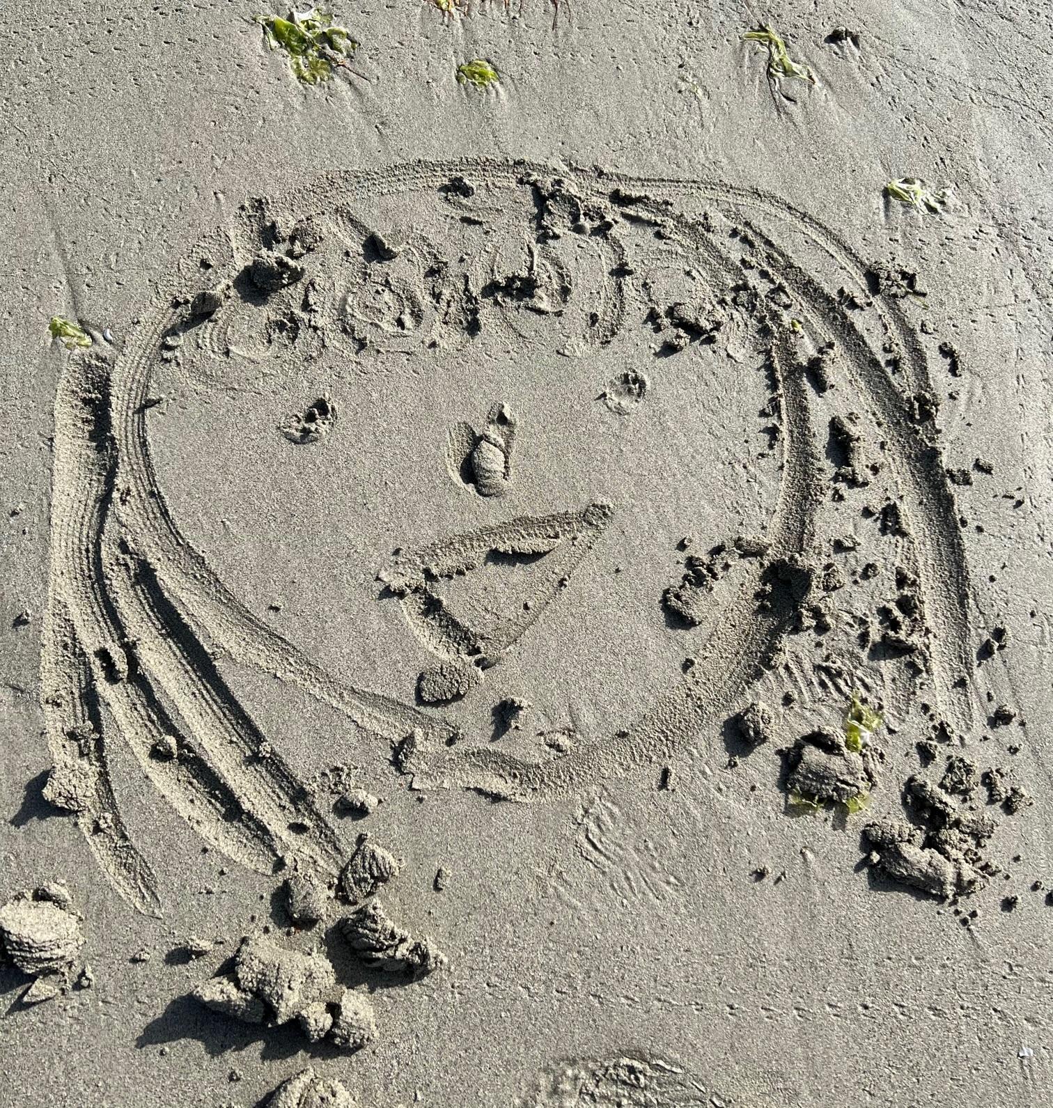 ��������������