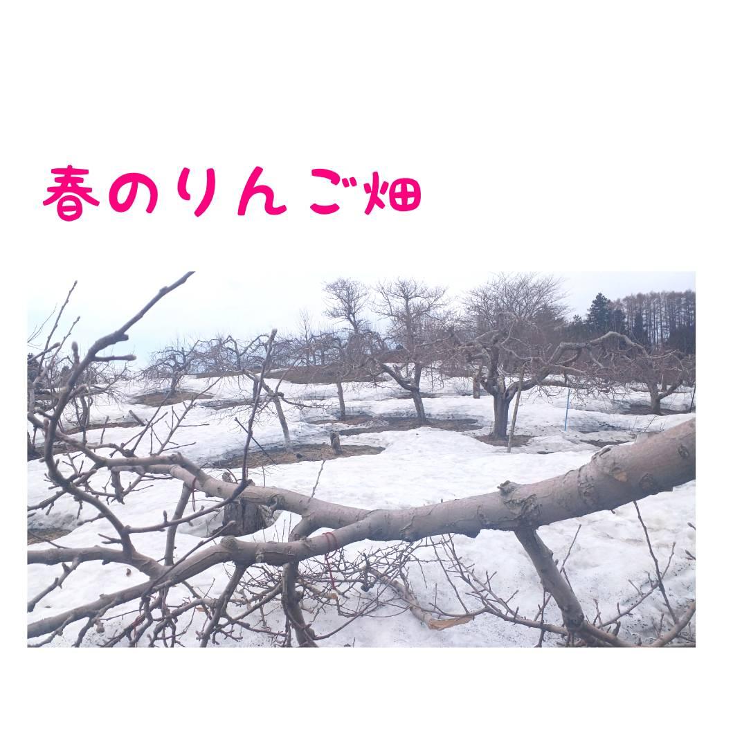 �ꂵ����������z����