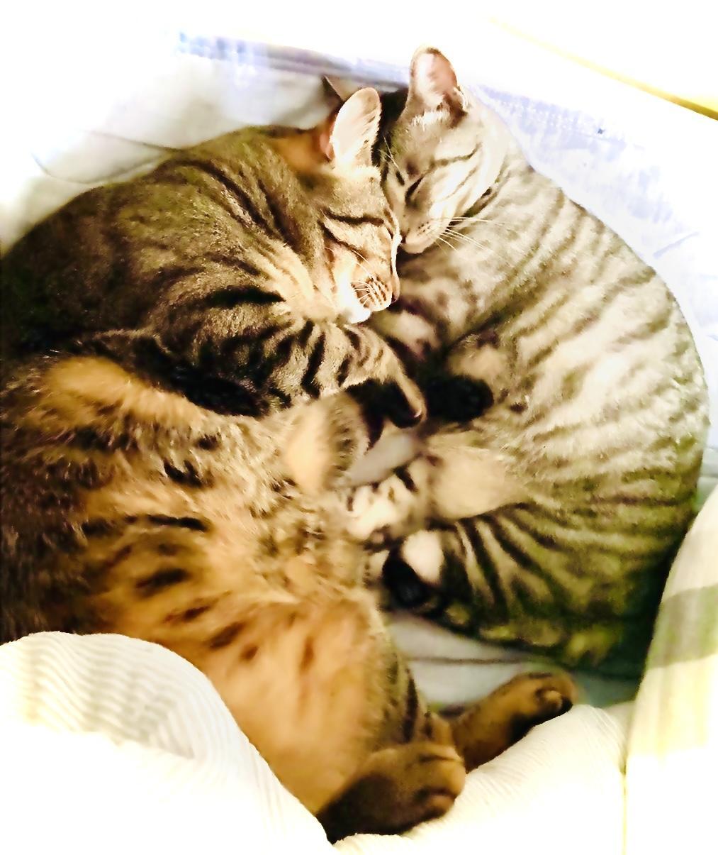 ���̂ł��I