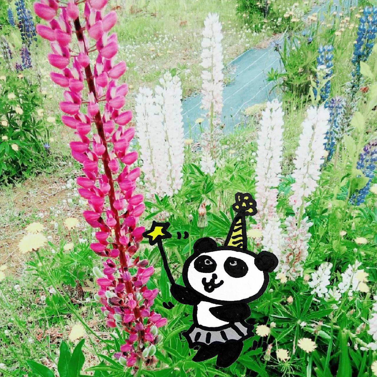 �����K���I�Ƃ����Ԃ��Ƃ�