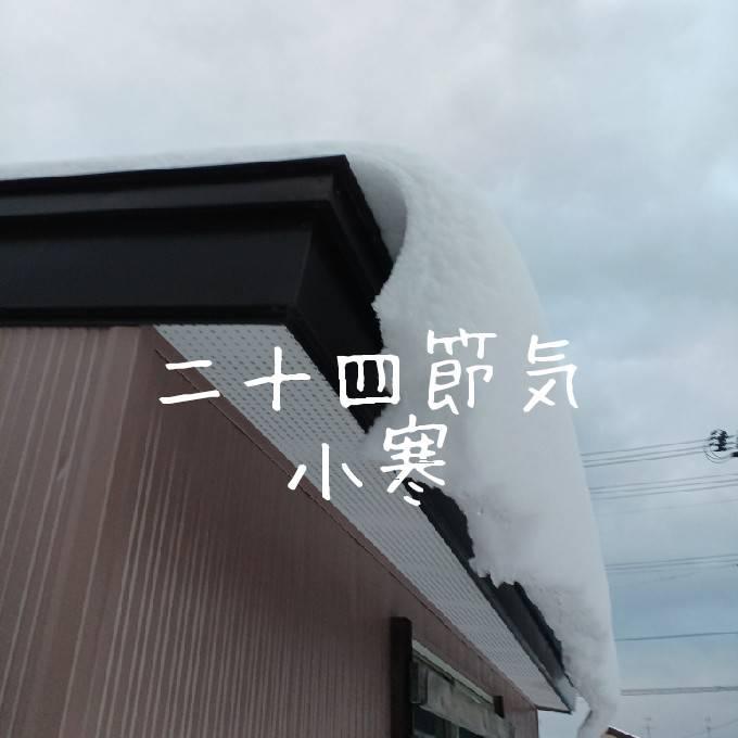 �����������߂̉߂������I