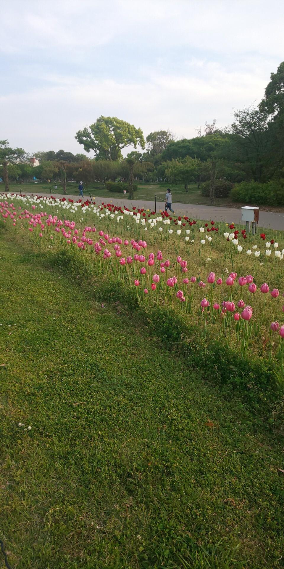 �T�� ���ɖ���