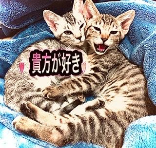 貴方の気持ちが1番大切8.30.王歌