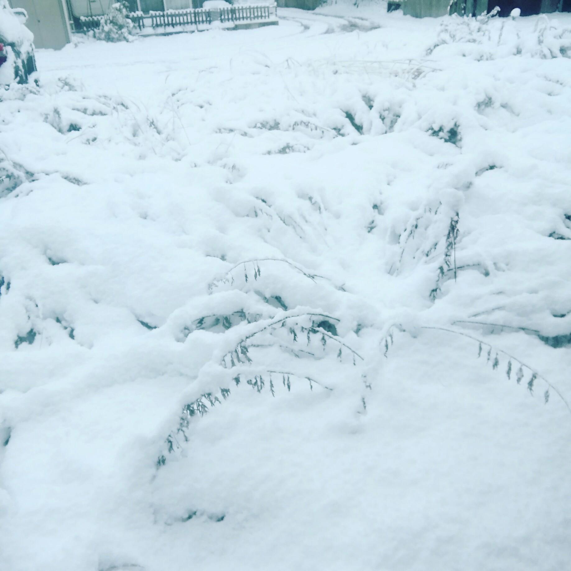 ����������Ɛς���