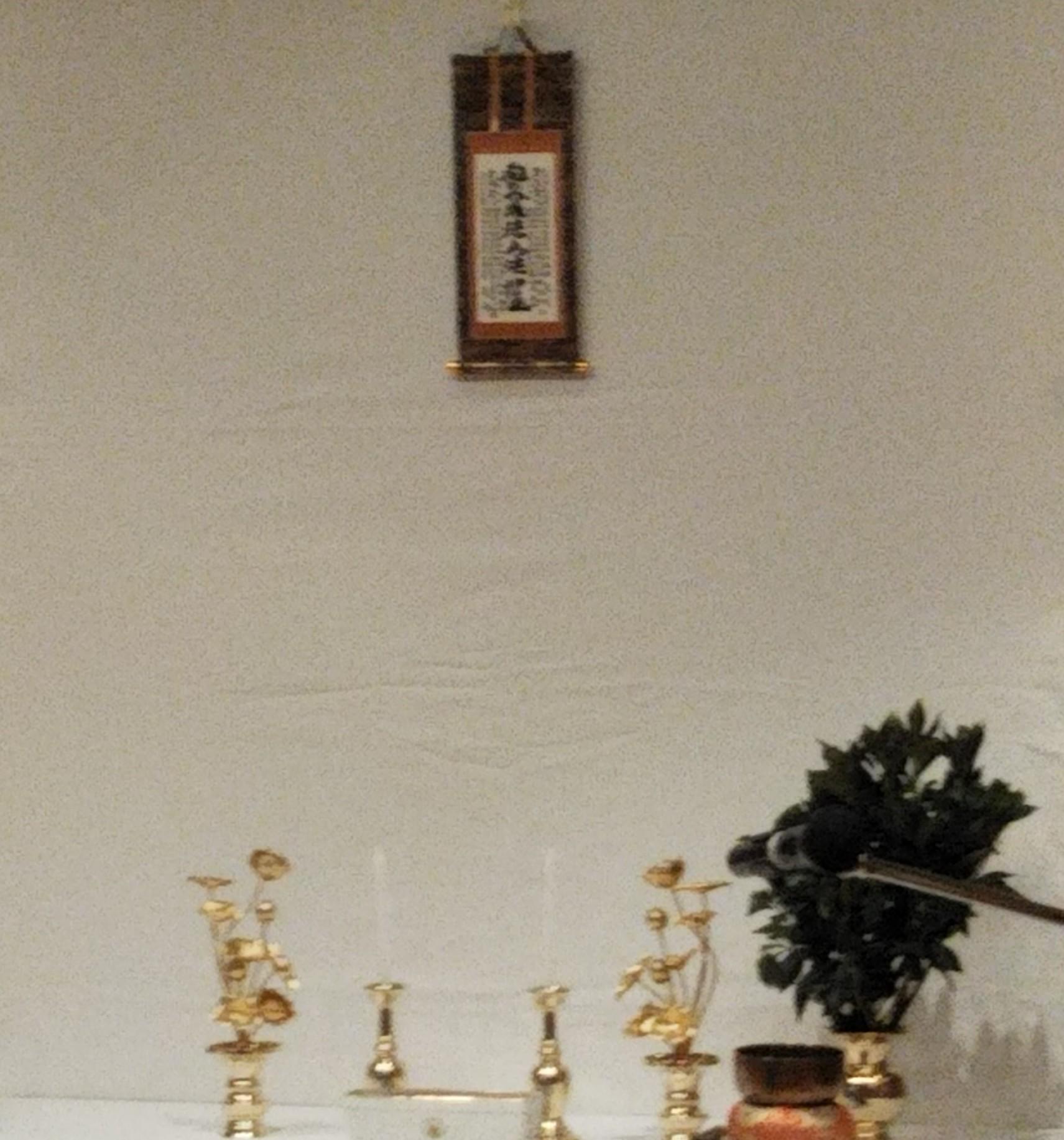 �򉻂Ńp���[���^��