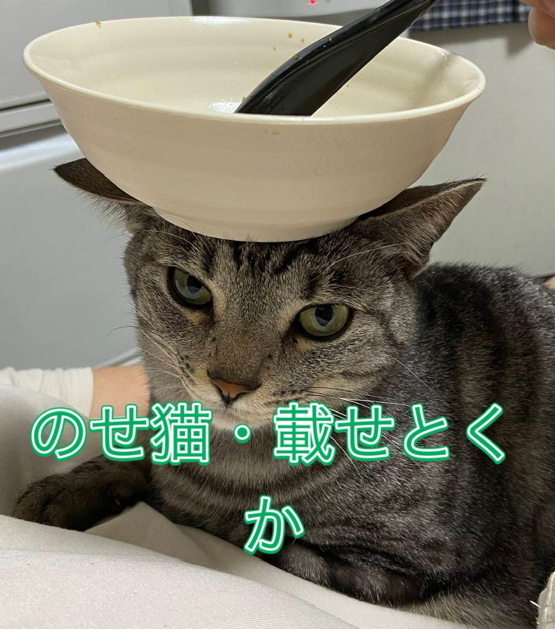 �M�����D���IR3.12.26.����