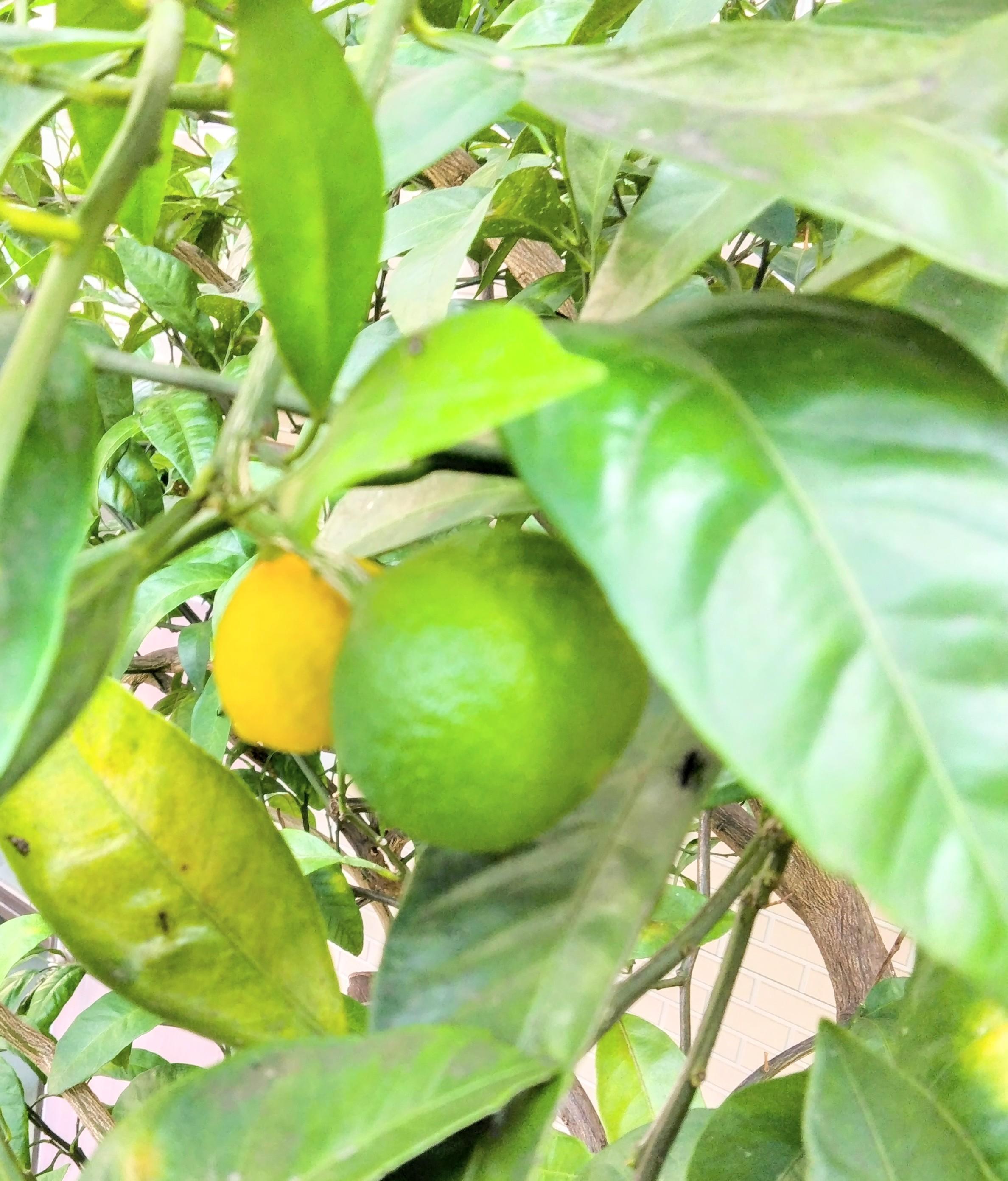 2024�N7��21��