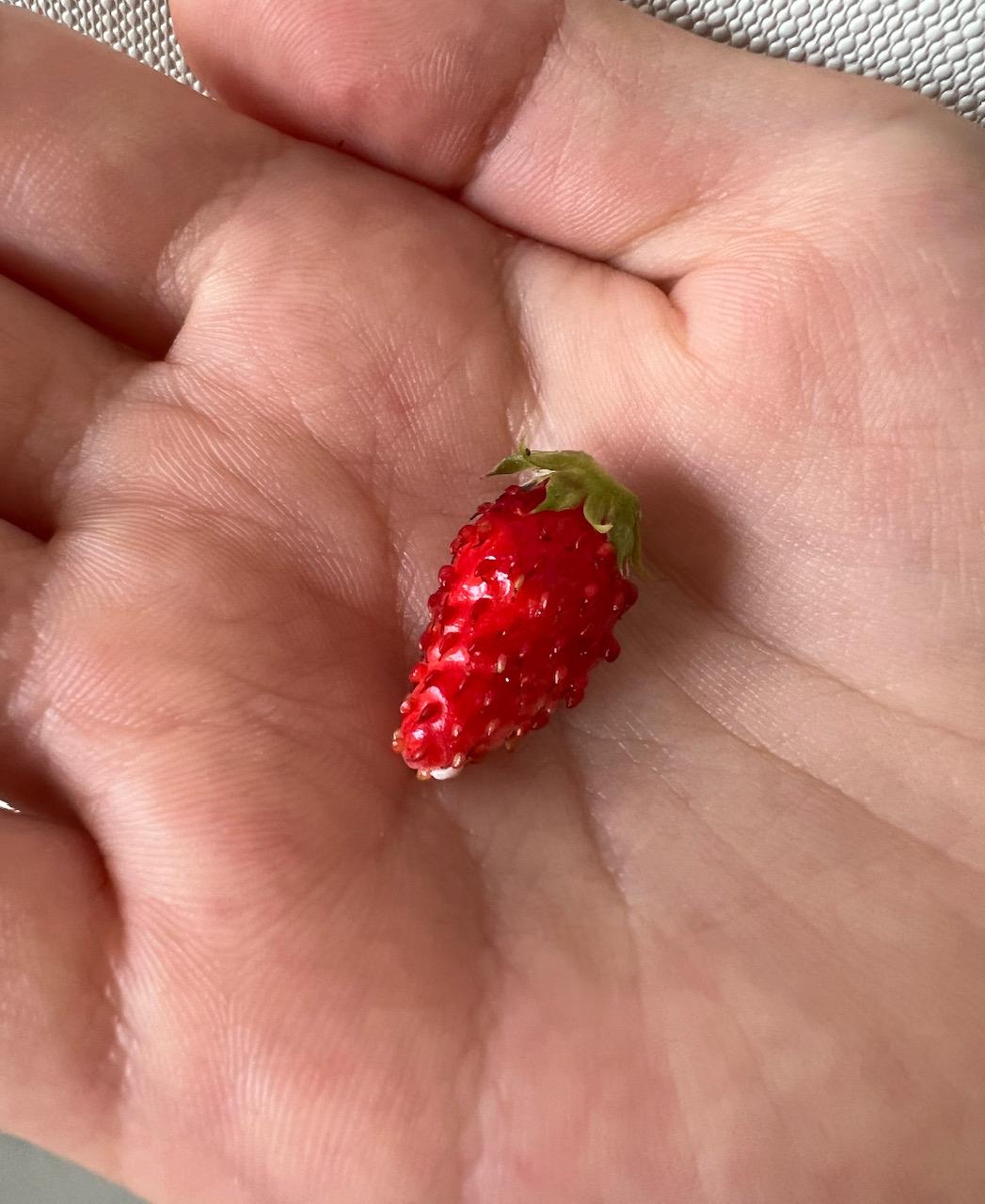 �����d�b��������������