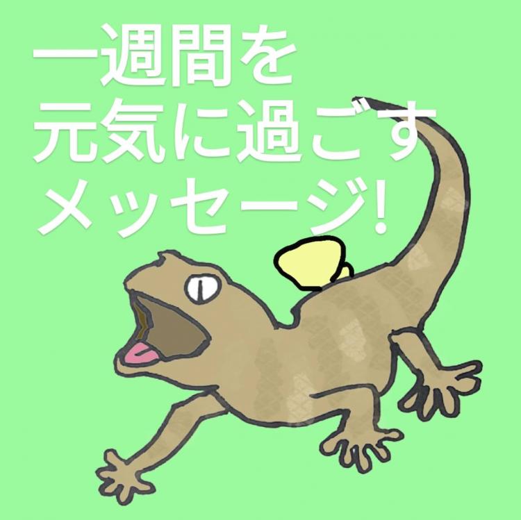 ��T�Ԃ����C�ɉ߂������b�Z�[�W�I